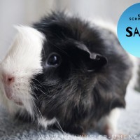 Sarah200114