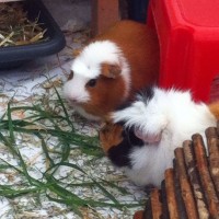 SchnuffiZuhause160905