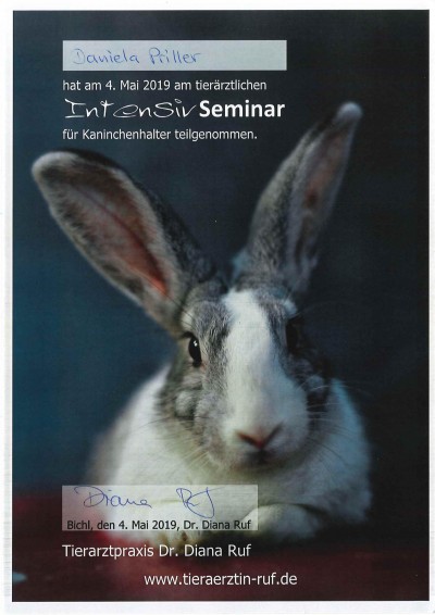 SeminarD