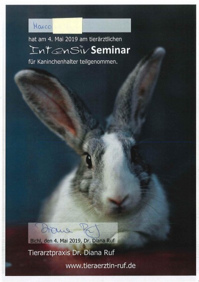 SeminarM