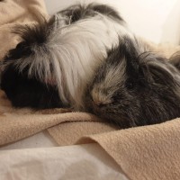 Wilma19041404