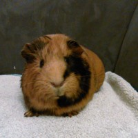 Winnie03