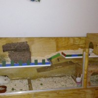ZuhauseDrNo2