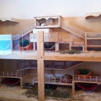 fiedler1
