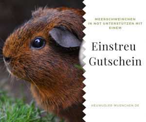 unterstuetzung einstreu