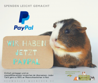 unterstuetzung paypal