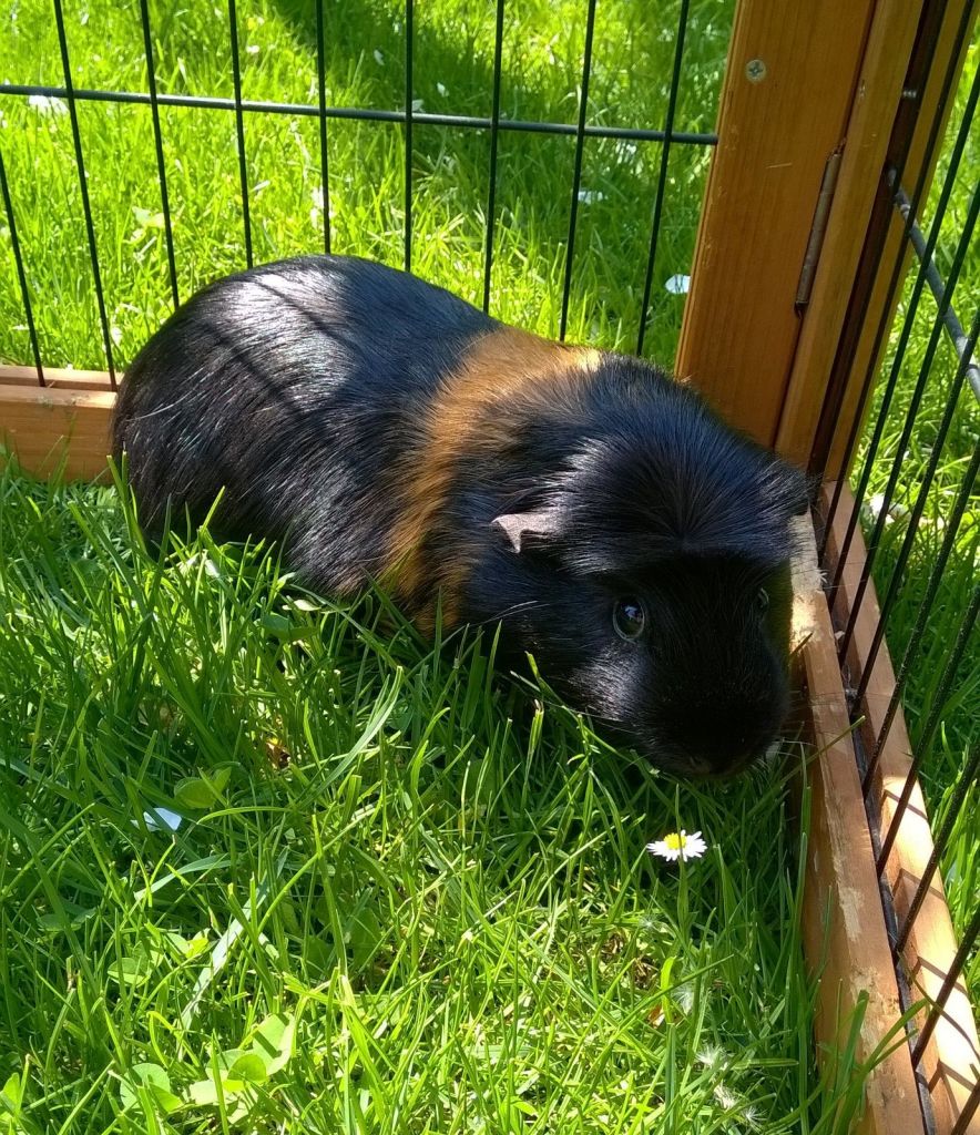 Dante16051403 Dante16051403