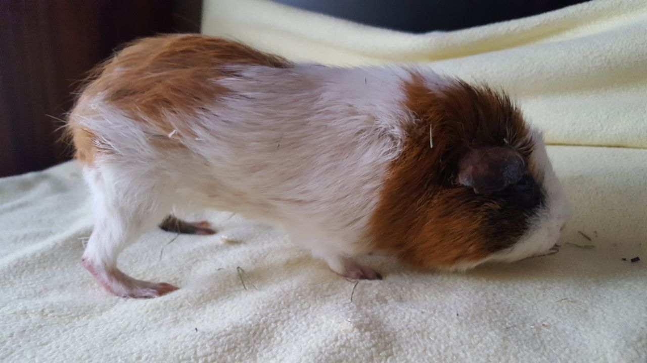 Eddy1802273 Eddy1802273