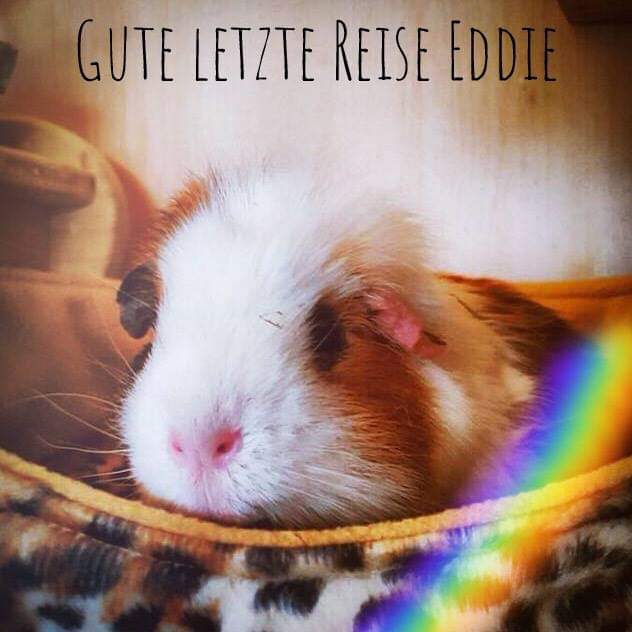 Eddy1810269 Eddy1810269