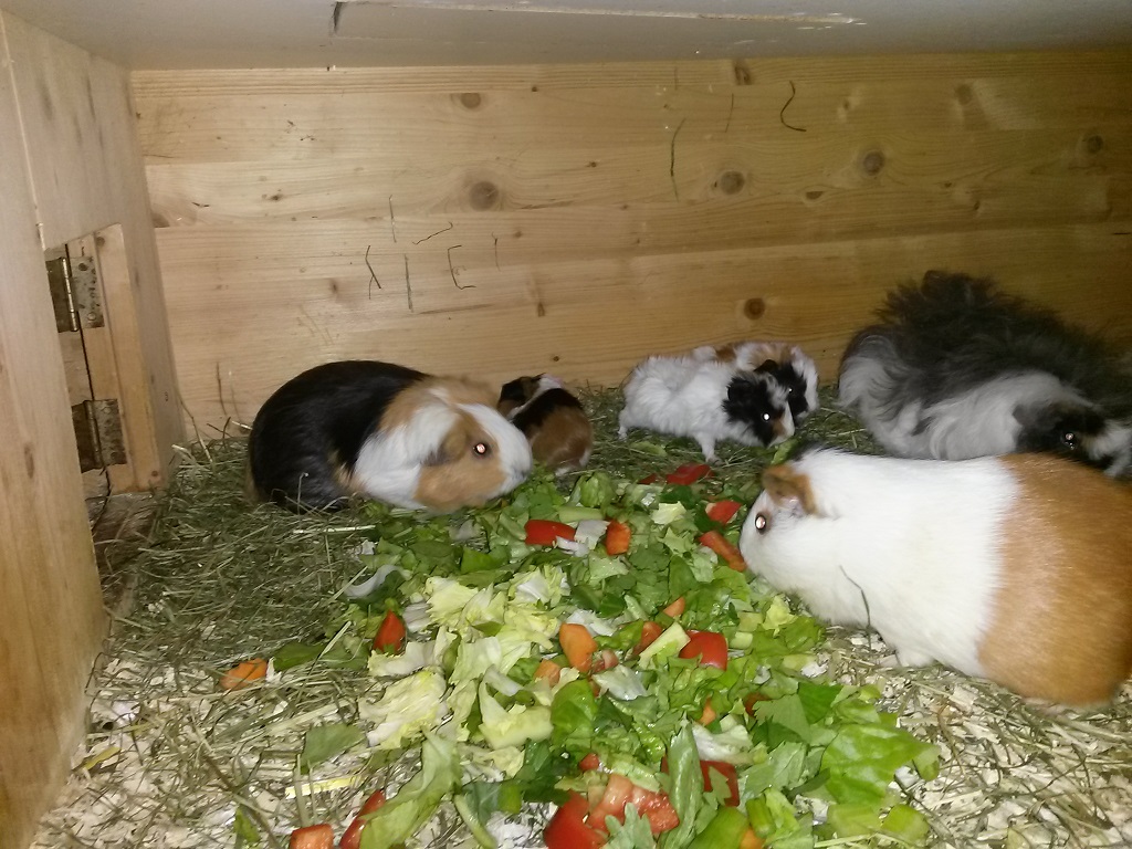 Izar-Familie1