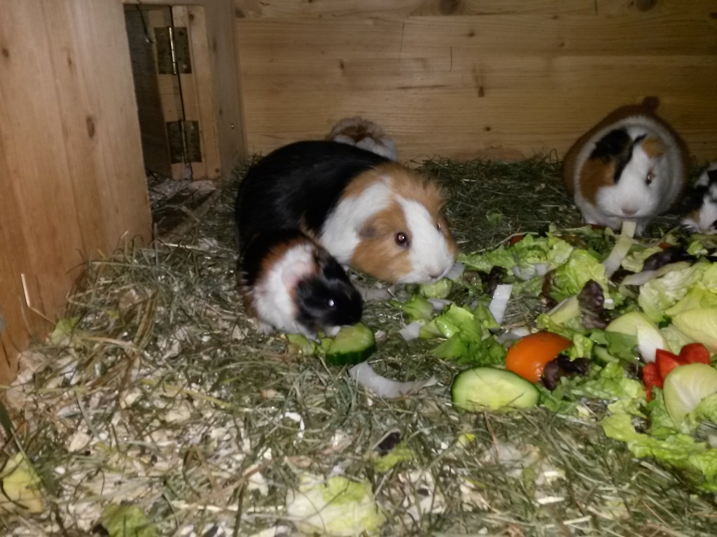 Izar-Familie2