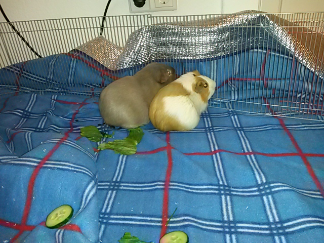 Kiki-Charly-250517