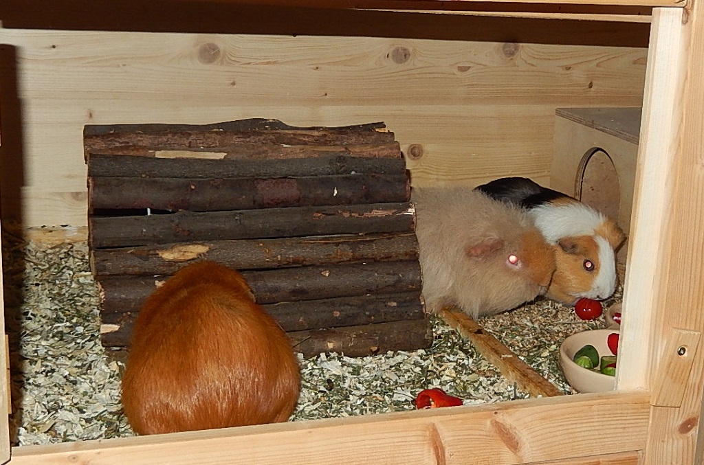 MilkaTrueffel