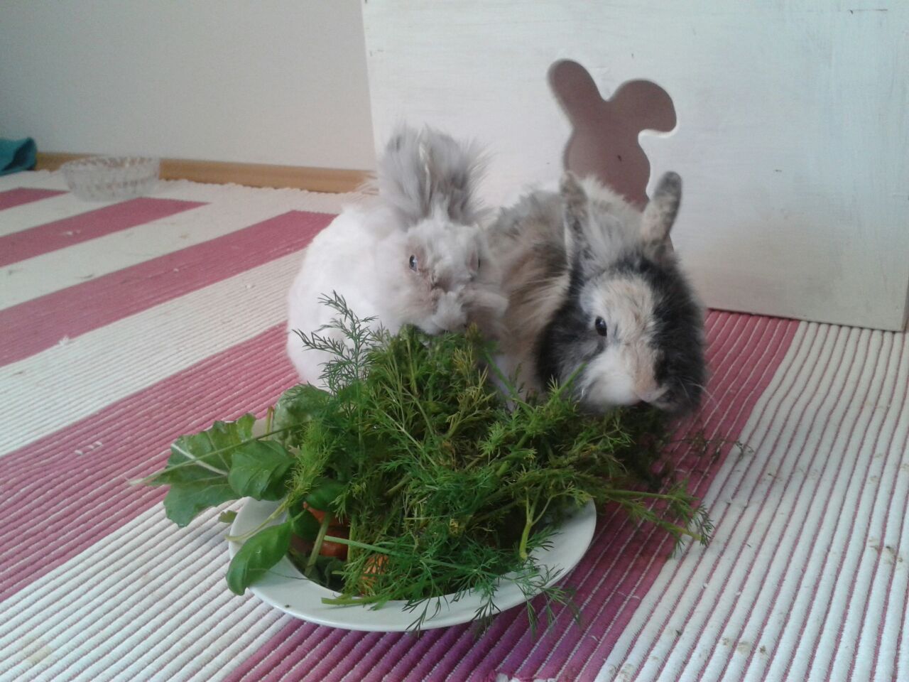 Abendessen