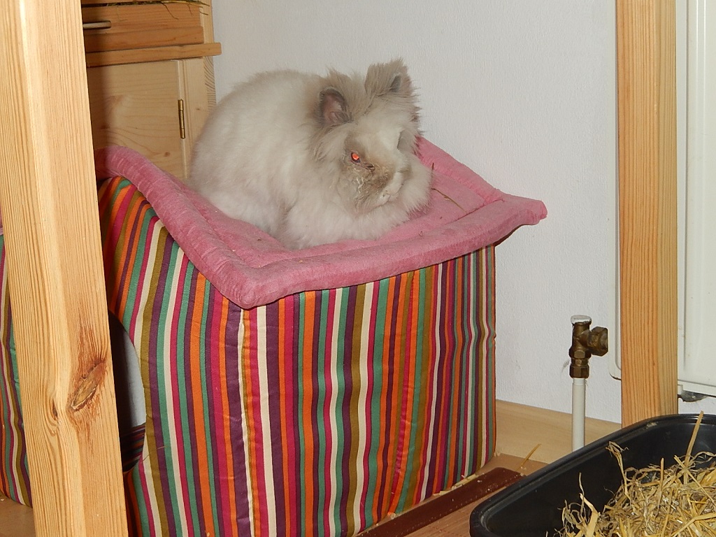 Rudi-gemuetlich