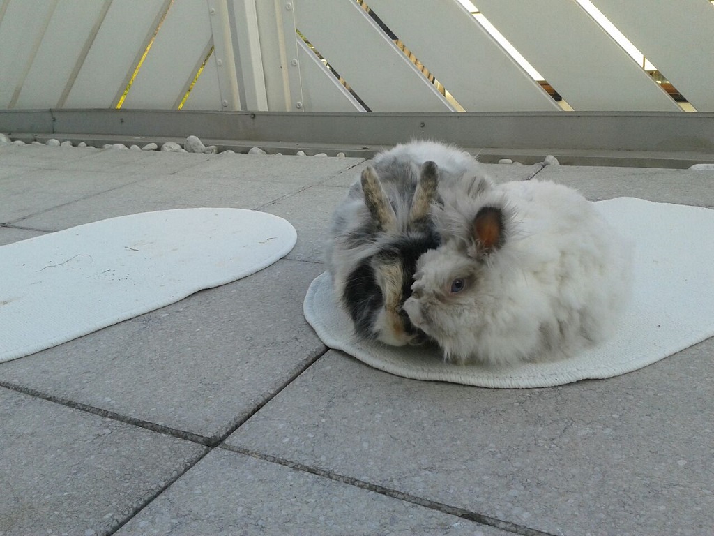endlich-Kuscheln