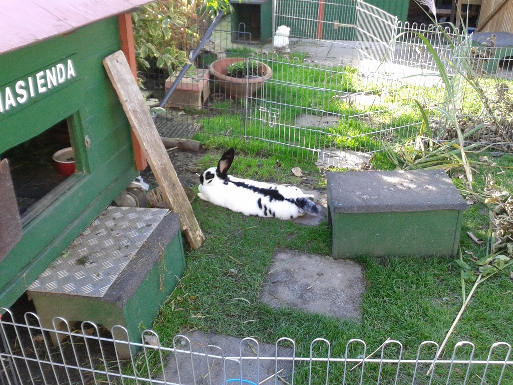 Schnuffientspannt