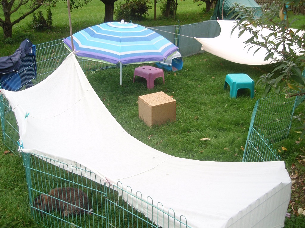 GartenauslaufTickLeni