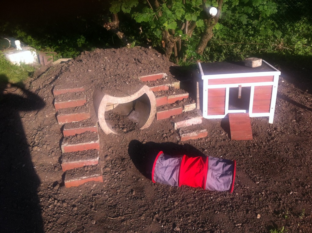 Ernie-Schrebergarten