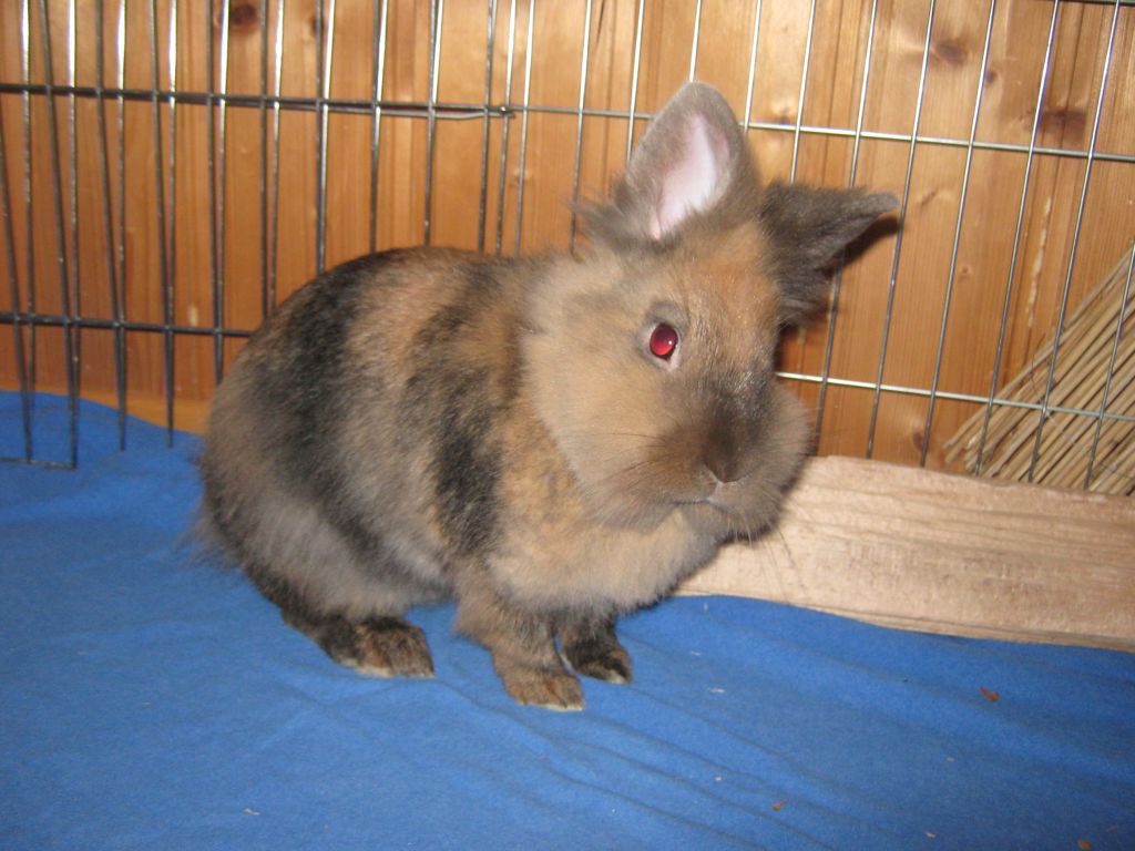 knuddel02 knuddel02