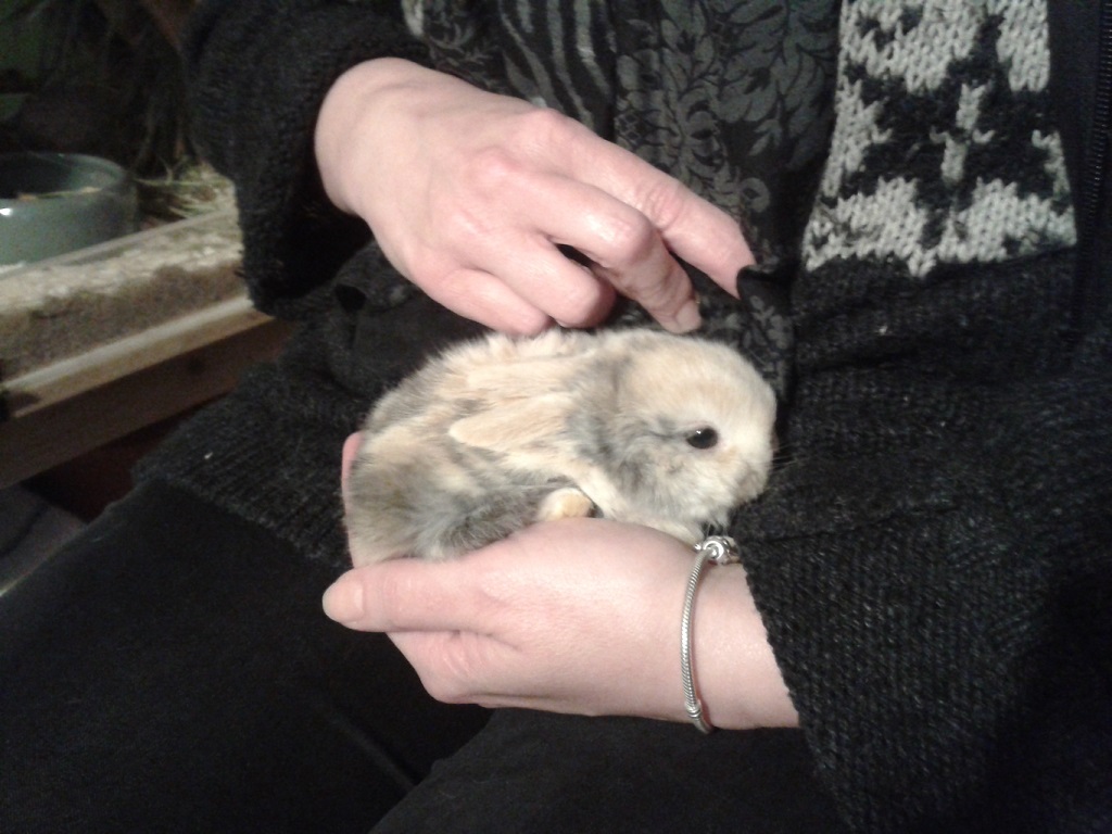 pebbles999 pebbles999