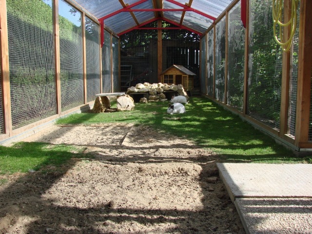 Friedberg4
