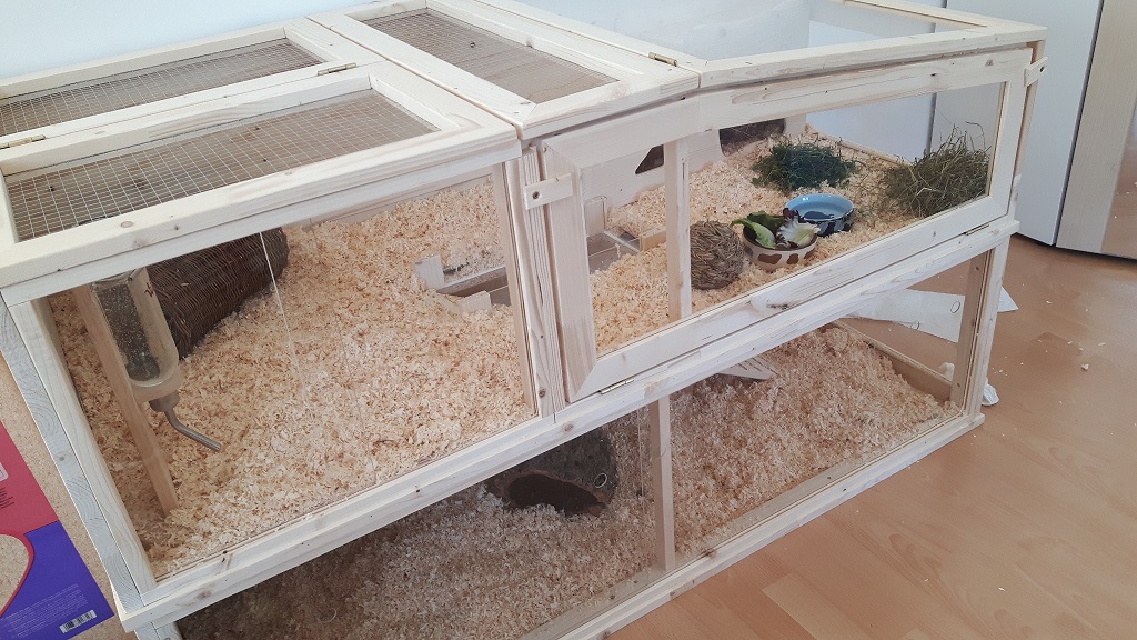 CarlisleUndCullen24.08.2018 CarlisleUndCullen24.08.2018