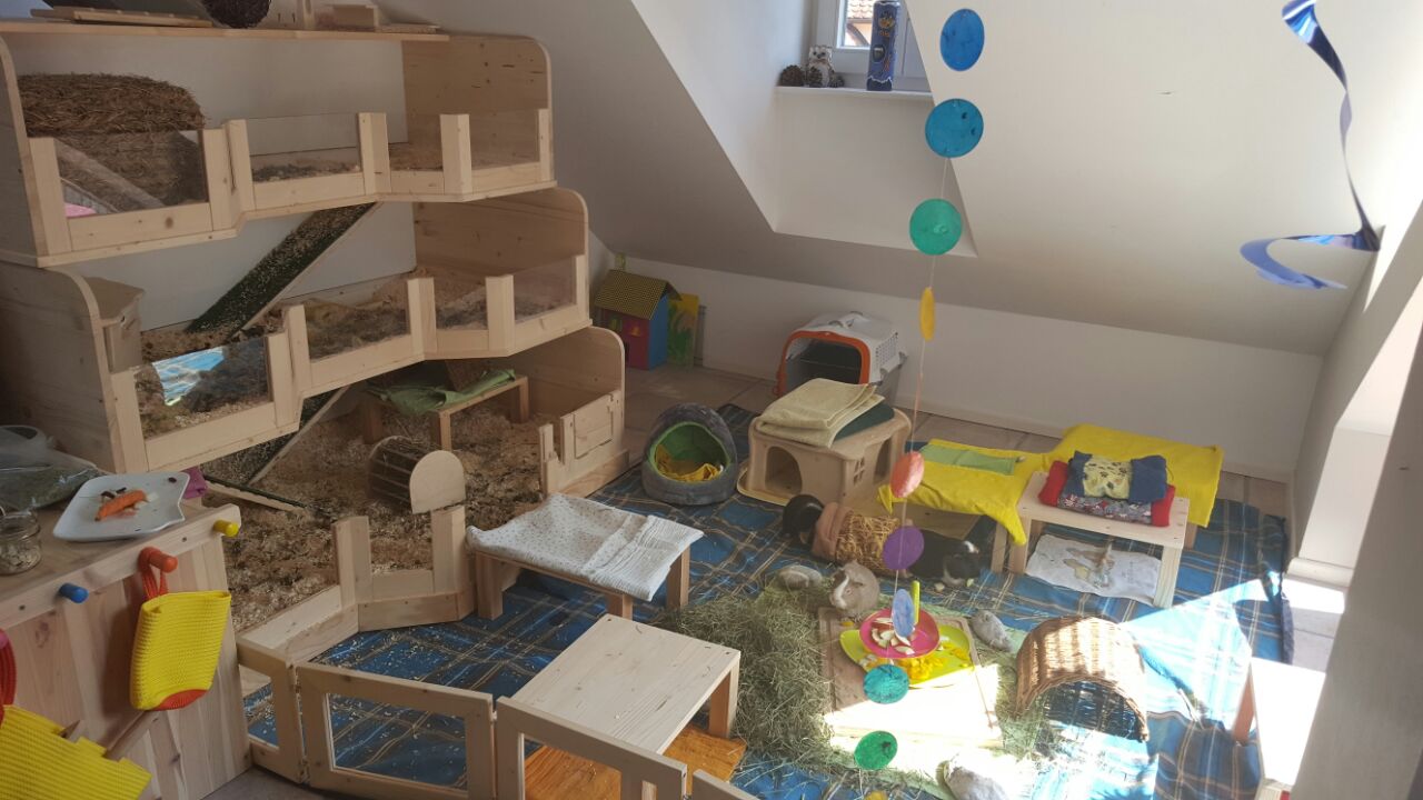 SchoenerWohnenSissi SchoenerWohnenSissi