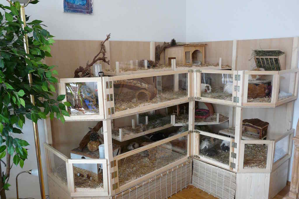 StallKraus3 StallKraus3
