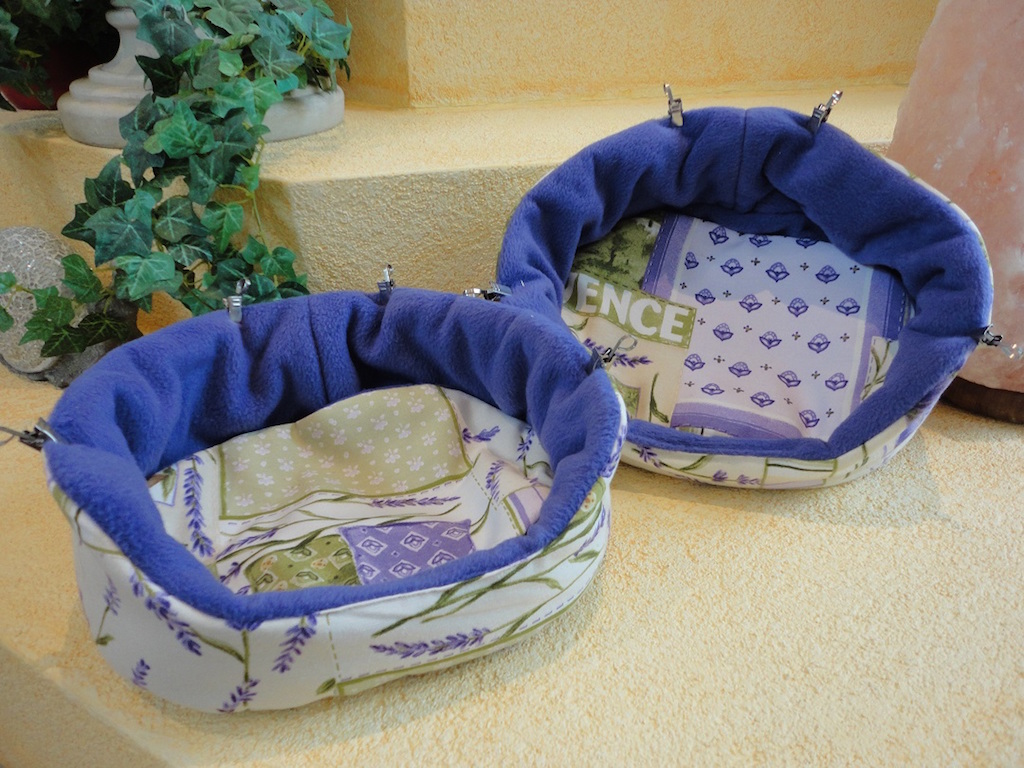 Kuschelschweinchen013a