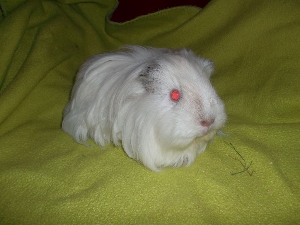 Casy05