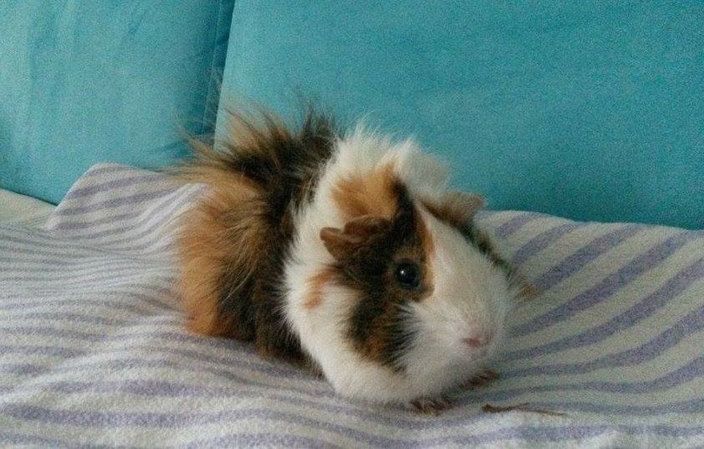 Robbie001