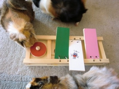 Spielebrett3