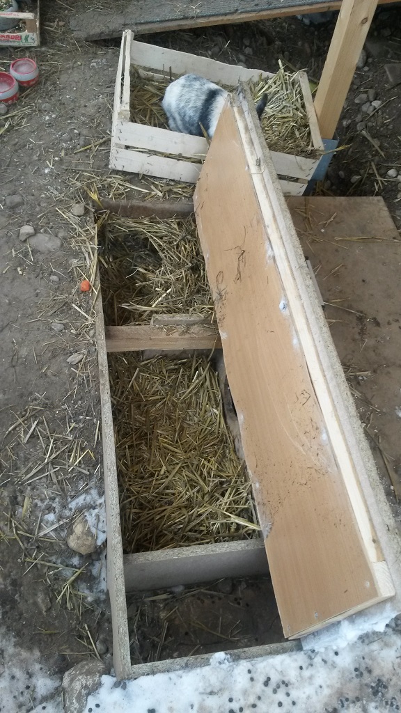 Holztunnel