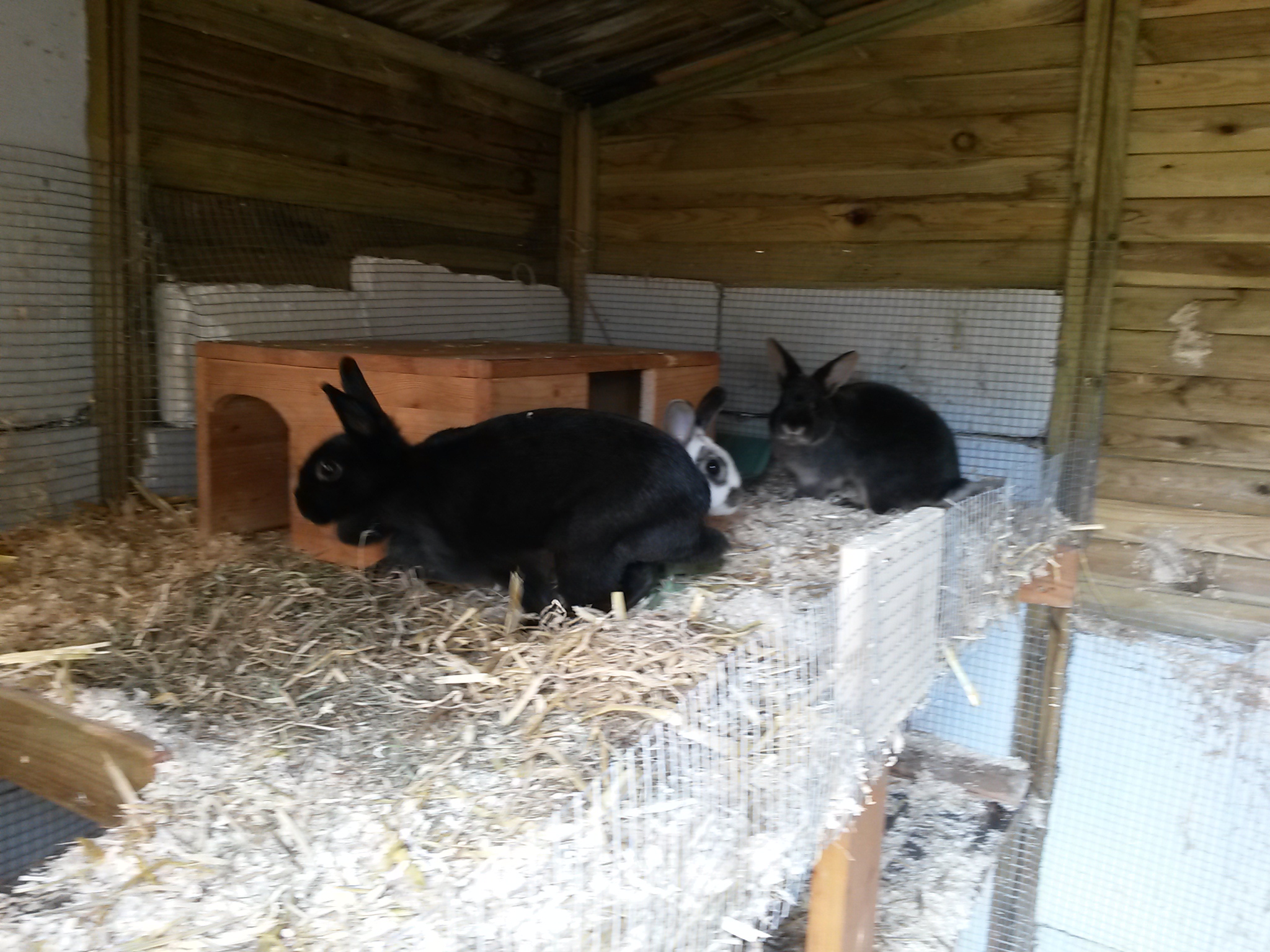 neues-Trio