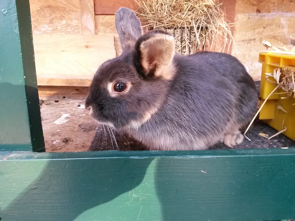 Penelope-4