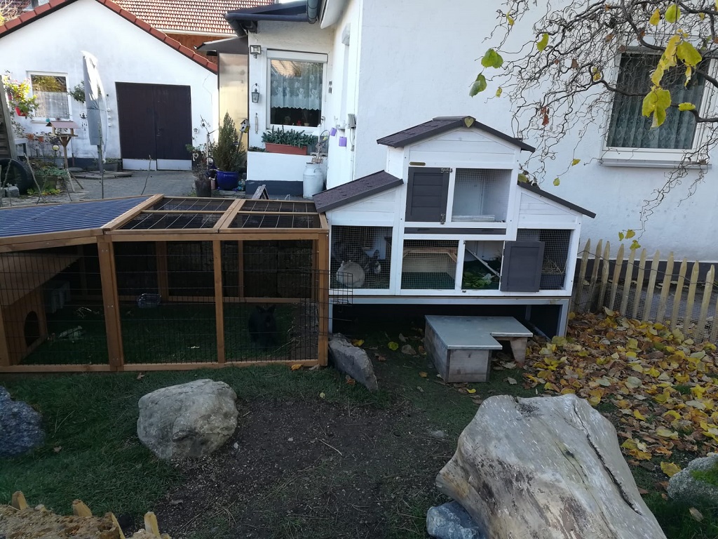 Falballa-Zuhause-171118