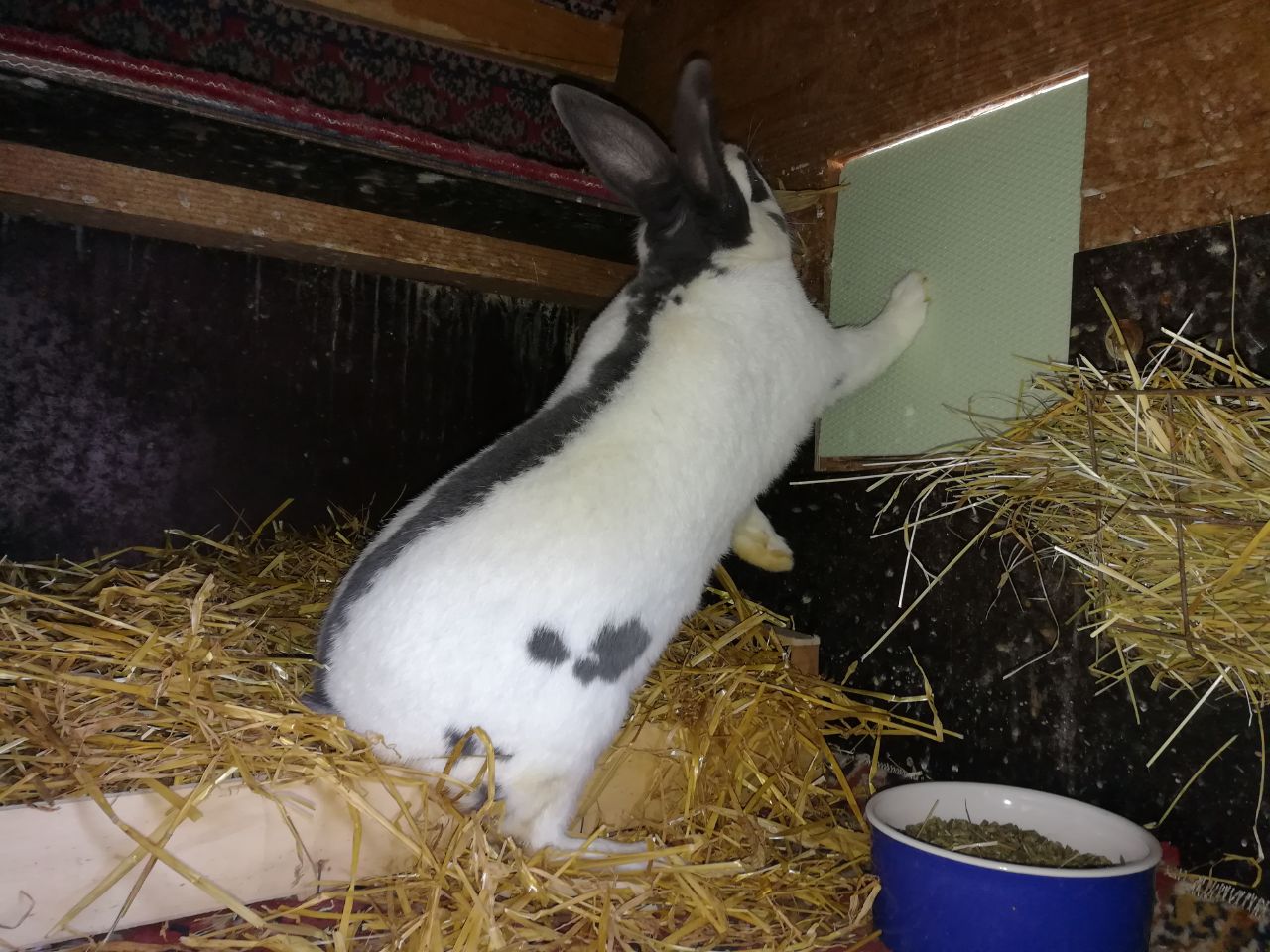 Fritzi1803042