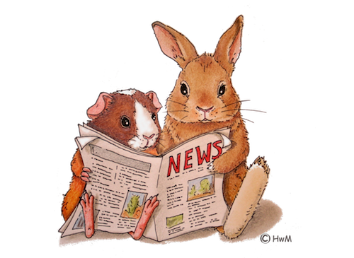 logo news