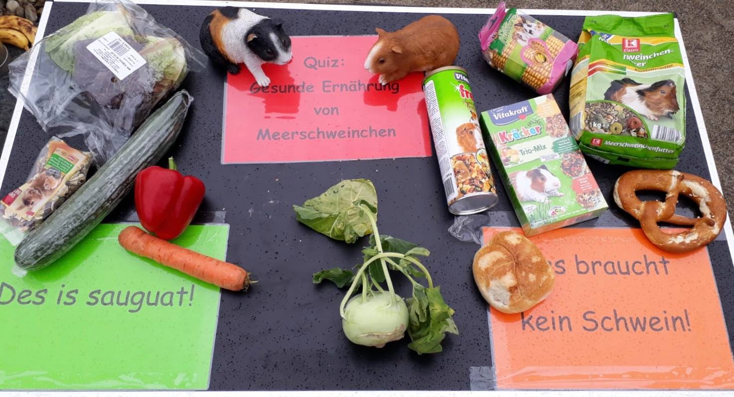 TierheimWinter201803