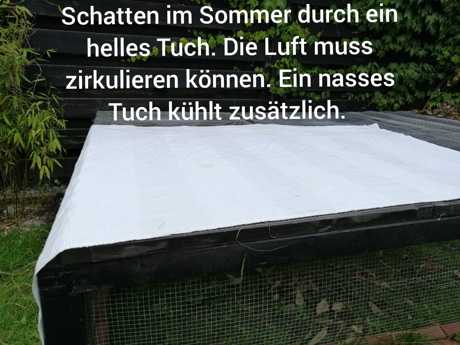 GanzjaehrigeAussenhaltung4