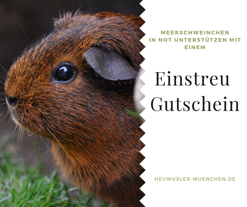 unterstuetzung einstreu